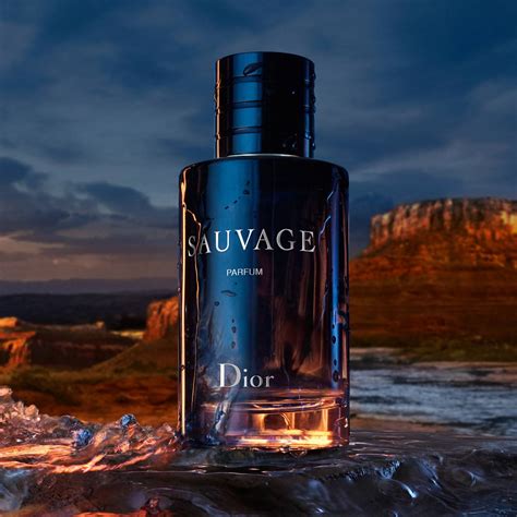 sauvage parfum dior 100ml|Dior Sauvage best price uk.